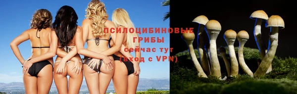 каннабис Медвежьегорск