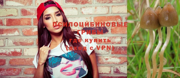соль ск Мегион
